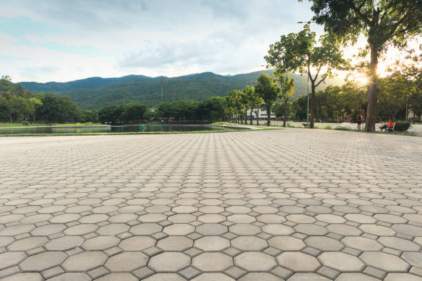 Best Concrete Paver Driveway  in Caledonia, MI